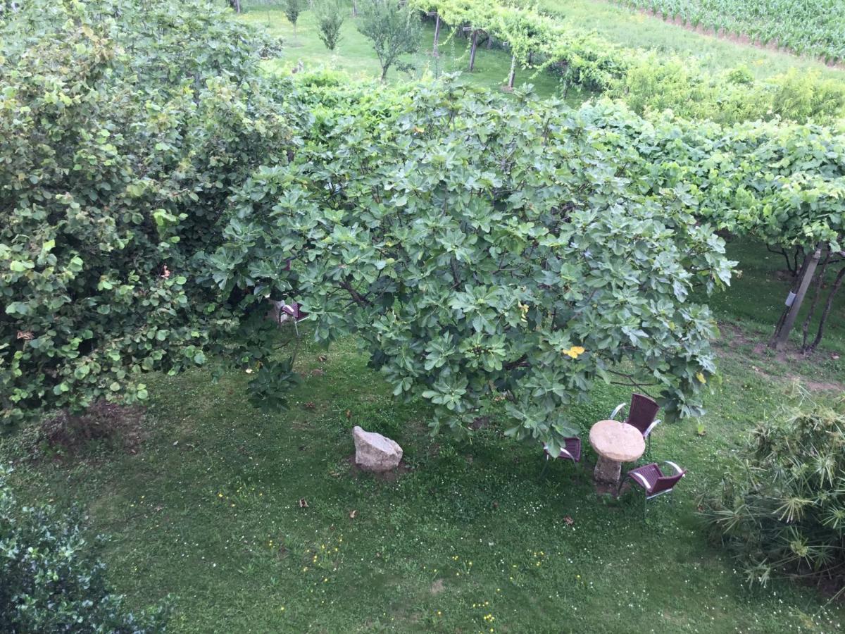 Casa Hipolito Villa A Estrada Eksteriør billede
